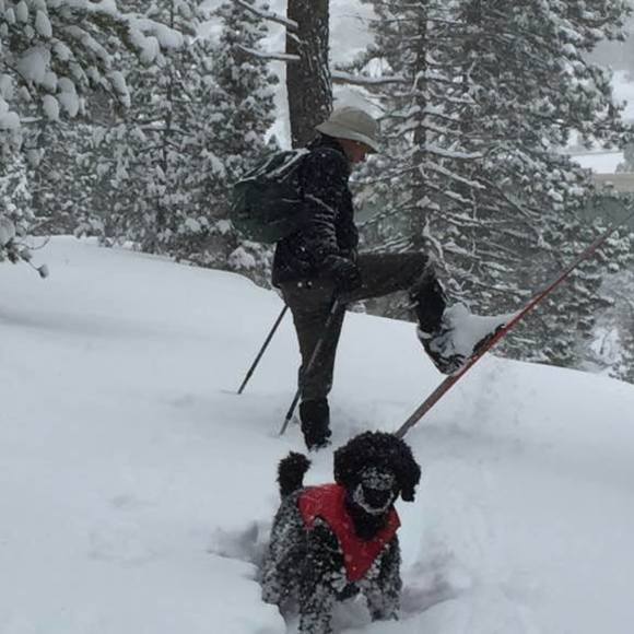 Meet your Posher, Bryan - Picture 1 of 1